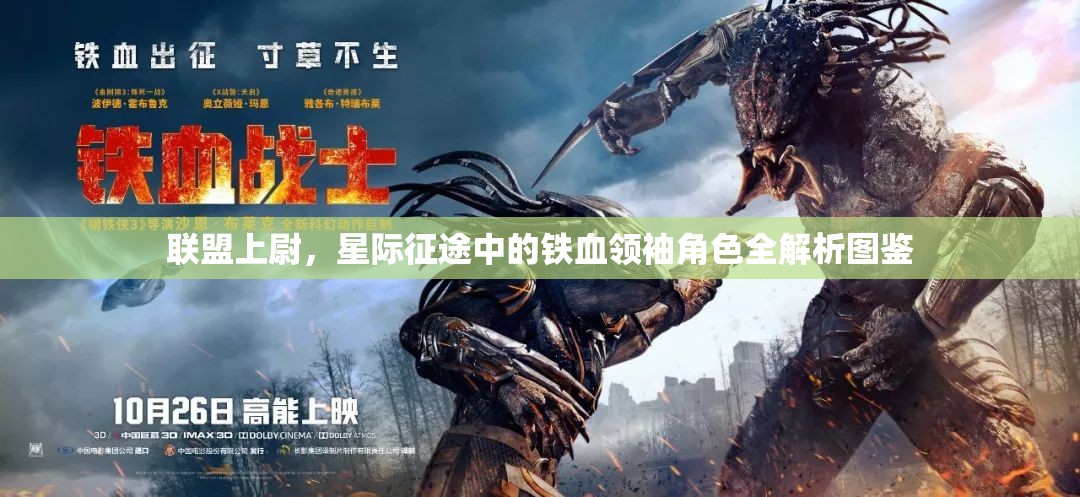 联盟上尉，星际征途中的铁血领袖角色全解析图鉴