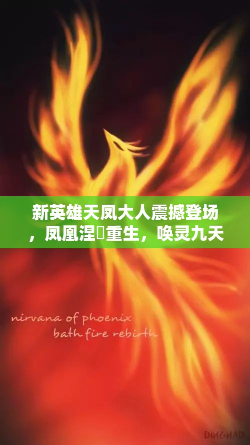 新英雄天凤大人震撼登场，凤凰涅槃重生，唤灵九天震撼来袭