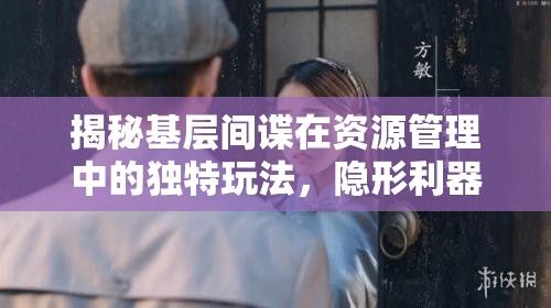 揭秘基层间谍在资源管理中的独特玩法，隐形利器助力高效策略实施