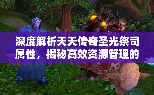 深度解析天天传奇圣光祭司属性，揭秘高效资源管理的艺术之道