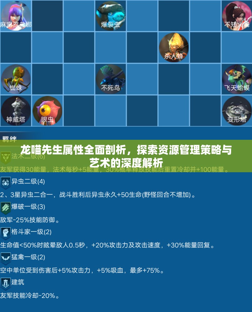 龙喵先生属性全面剖析，探索资源管理策略与艺术的深度解析
