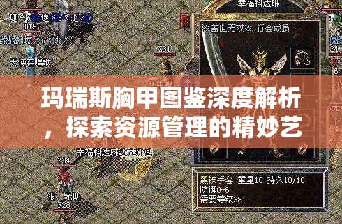 玛瑞斯胸甲图鉴深度解析，探索资源管理的精妙艺术与实战策略
