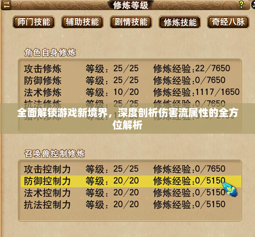 全面解锁游戏新境界，深度剖析伤害流属性的全方位解析