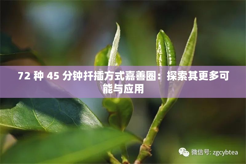 72 种 45 分钟扦插方式嘉善圈：探索其更多可能与应用