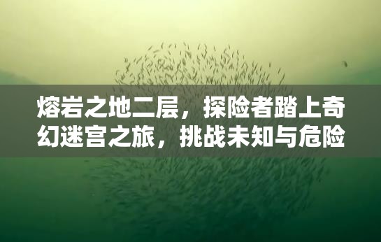 熔岩之地二层，探险者踏上奇幻迷宫之旅，挑战未知与危险