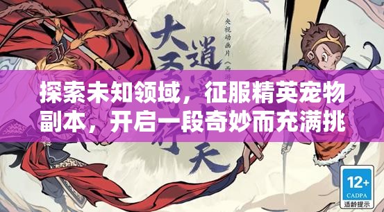 探索未知领域，征服精英宠物副本，开启一段奇妙而充满挑战的旅程