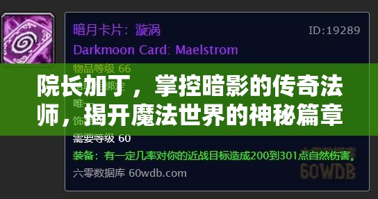 院长加丁，掌控暗影的传奇法师，揭开魔法世界的神秘篇章