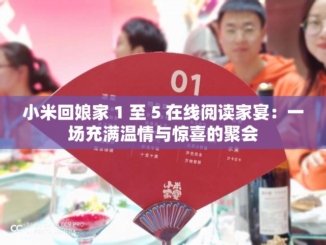 小米回娘家 1 至 5 在线阅读家宴：一场充满温情与惊喜的聚会