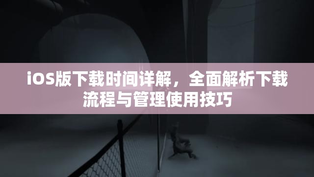 iOS版下载时间详解，全面解析下载流程与管理使用技巧