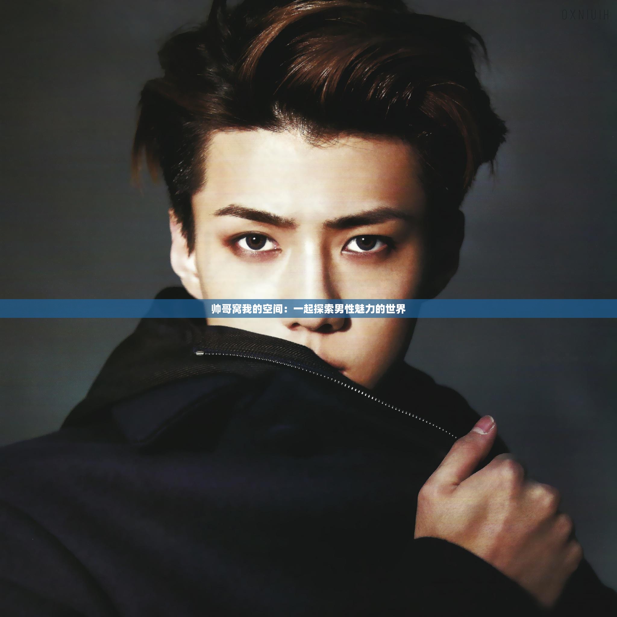 帅哥窝我的空间：一起探索男性魅力的世界