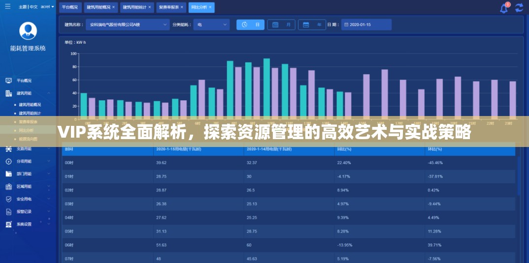 VIP系统全面解析，探索资源管理的高效艺术与实战策略