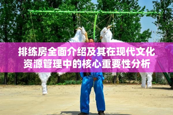 排练房全面介绍及其在现代文化资源管理中的核心重要性分析