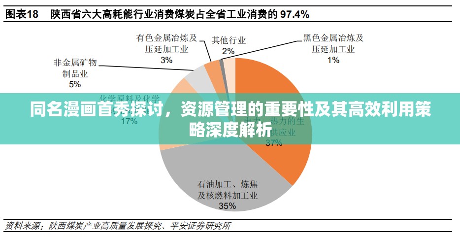 同名漫画首秀探讨，资源管理的重要性及其高效利用策略深度解析