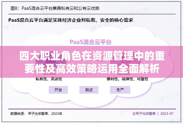 四大职业角色在资源管理中的重要性及高效策略运用全面解析