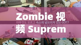 Zombie 视频 Supreme 遭黑粉砸场：粉丝现场失控，气氛紧张