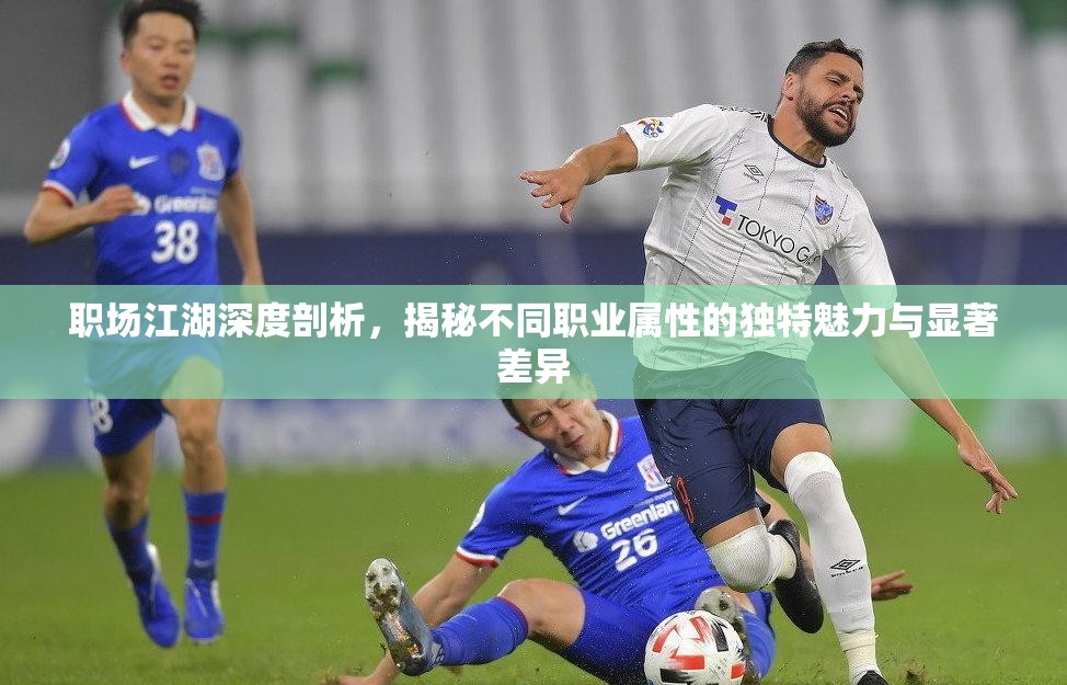 职场江湖深度剖析，揭秘不同职业属性的独特魅力与显著差异