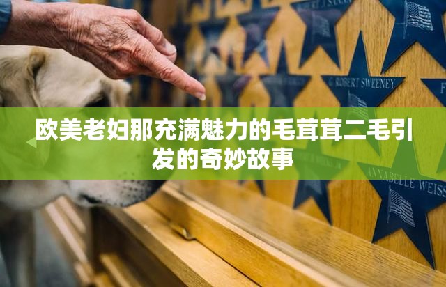 欧美老妇那充满魅力的毛茸茸二毛引发的奇妙故事