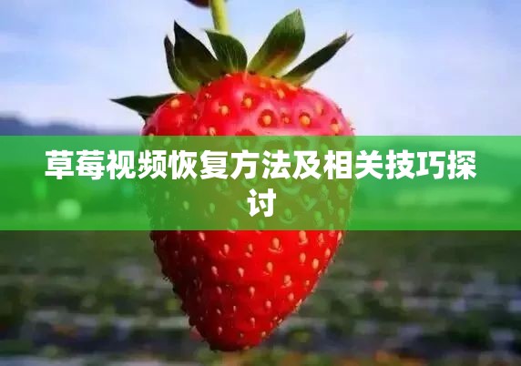 草莓视频恢复方法及相关技巧探讨