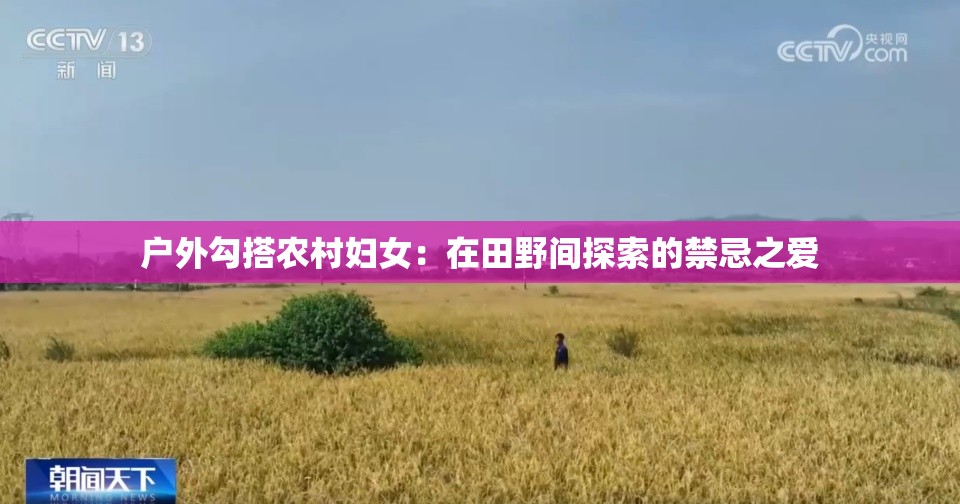 户外勾搭农村妇女：在田野间探索的禁忌之爱