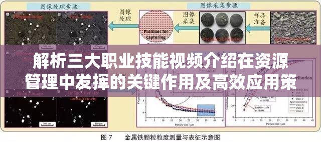 解析三大职业技能视频介绍在资源管理中发挥的关键作用及高效应用策略