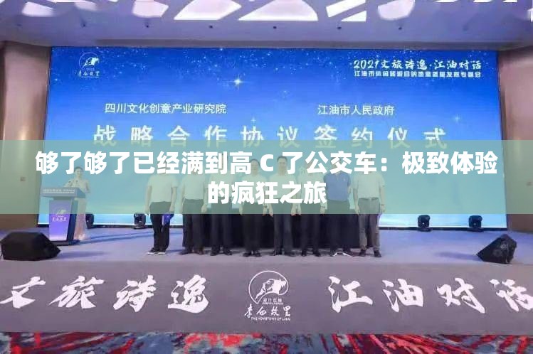 够了够了已经满到高 C 了公交车：极致体验的疯狂之旅