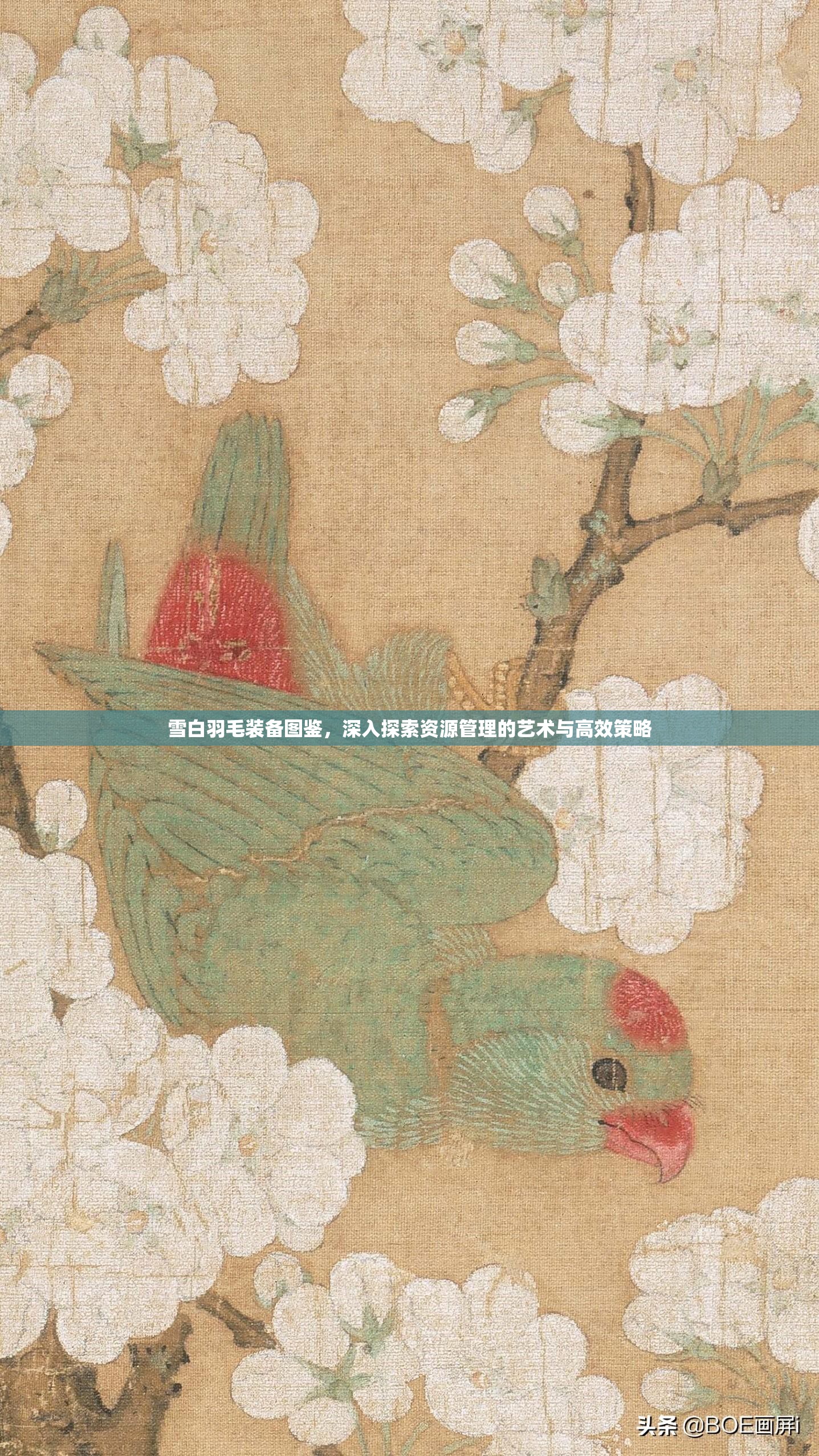 雪白羽毛装备图鉴，深入探索资源管理的艺术与高效策略