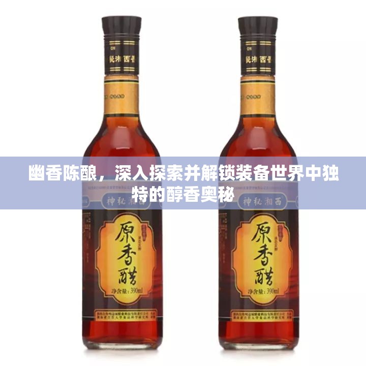 幽香陈酿，深入探索并解锁装备世界中独特的醇香奥秘