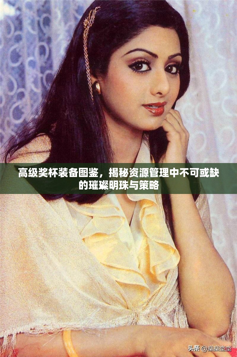 高级奖杯装备图鉴，揭秘资源管理中不可或缺的璀璨明珠与策略