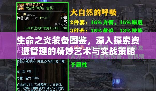 生命之炎装备图鉴，深入探索资源管理的精妙艺术与实战策略