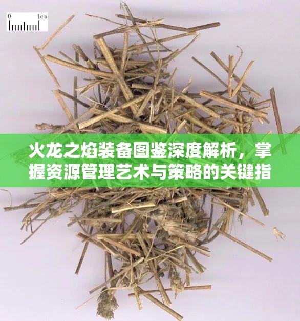 火龙之焰装备图鉴深度解析，掌握资源管理艺术与策略的关键指南