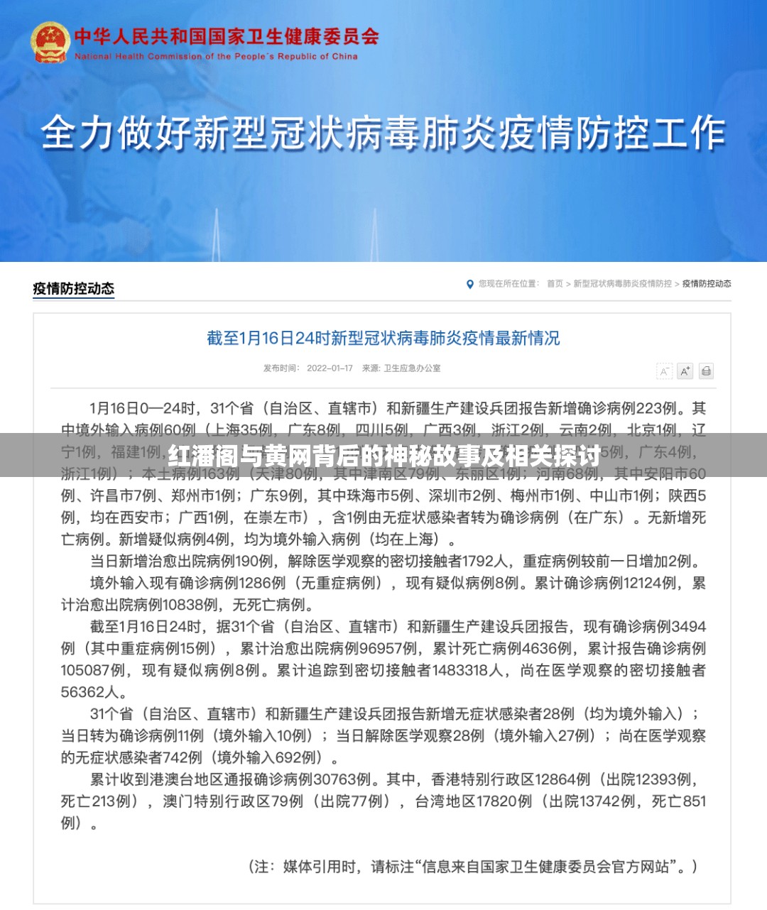 红潘阁与黄网背后的神秘故事及相关探讨