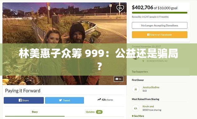 林美惠子众筹 999：公益还是骗局？