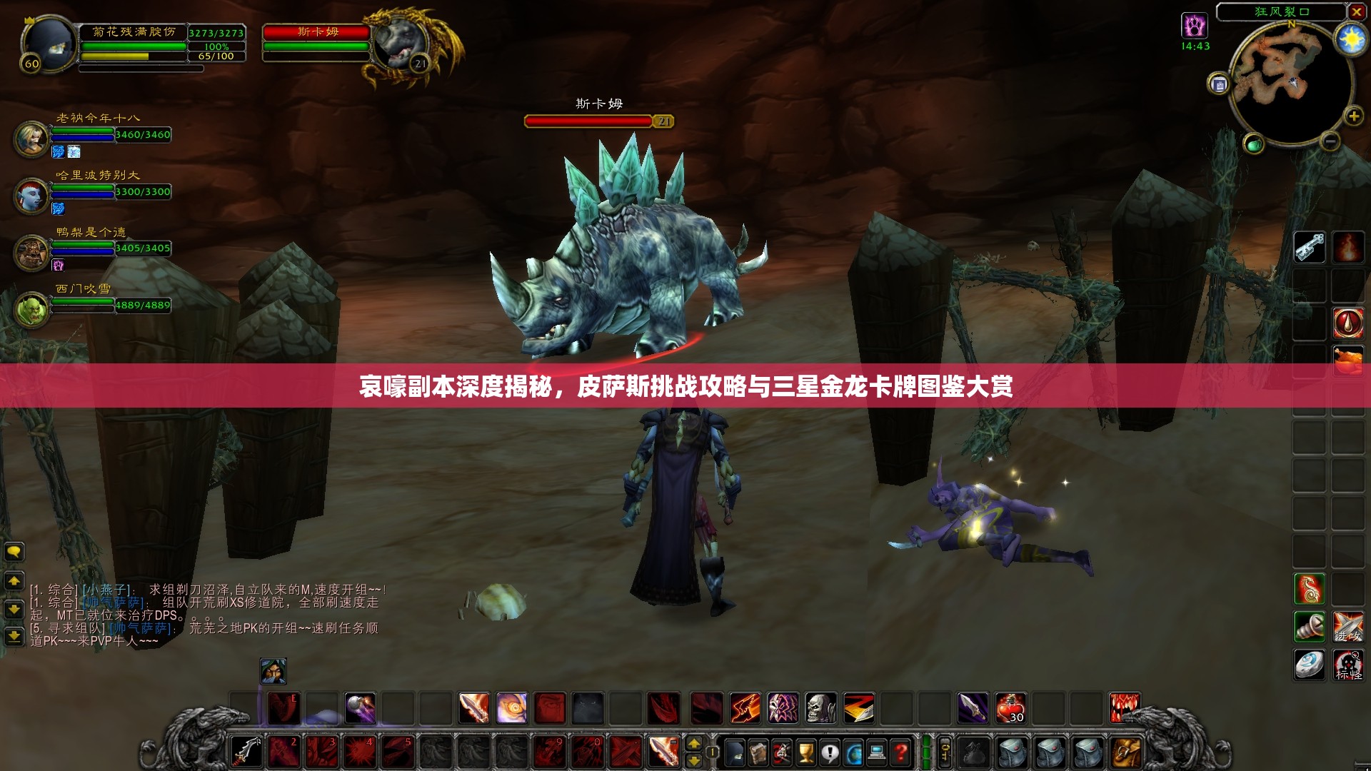 哀嚎副本深度揭秘，皮萨斯挑战攻略与三星金龙卡牌图鉴大赏