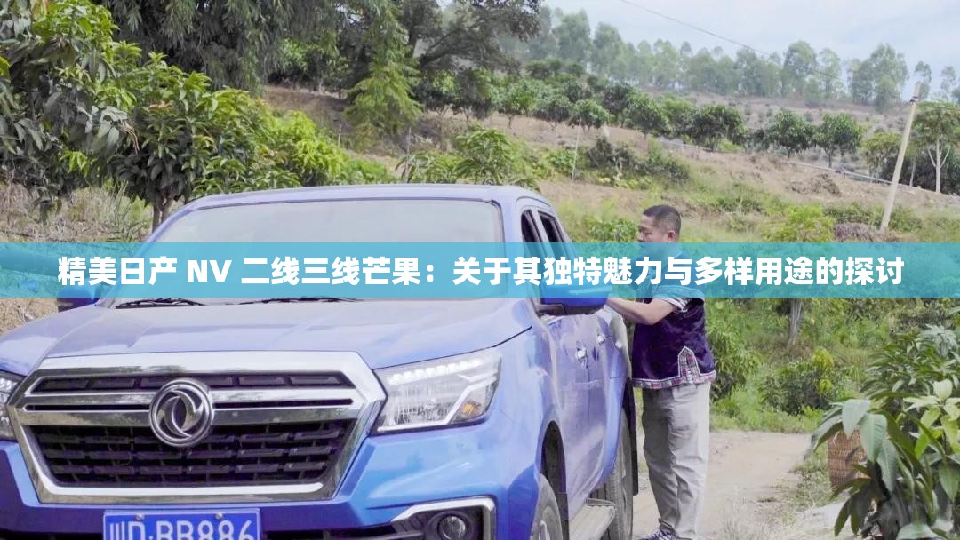 精美日产 NV 二线三线芒果：关于其独特魅力与多样用途的探讨