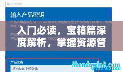 入门必读，宝箱篇深度解析，掌握资源管理的高效实用指南