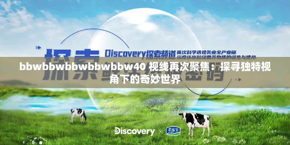 bbwbbwbbwbbwbbw40 视线再次聚焦：探寻独特视角下的奇妙世界