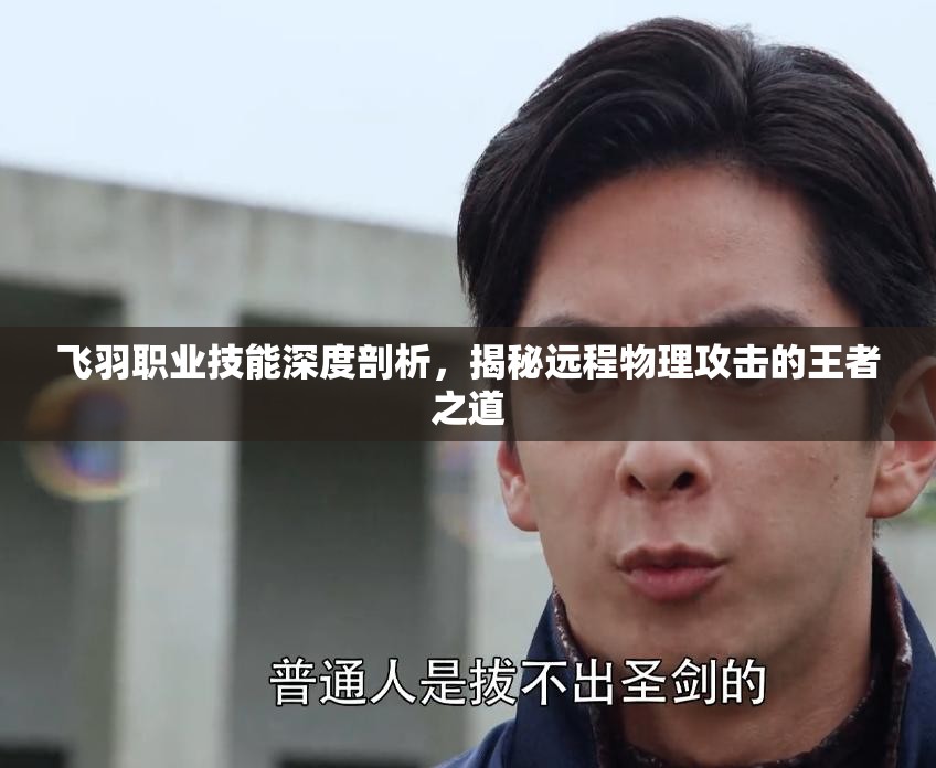 飞羽职业技能深度剖析，揭秘远程物理攻击的王者之道
