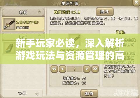 新手玩家必读，深入解析游戏玩法与资源管理的高效艺术