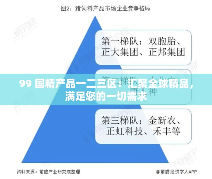 99 国精产品一二三区：汇聚全球精品，满足您的一切需求