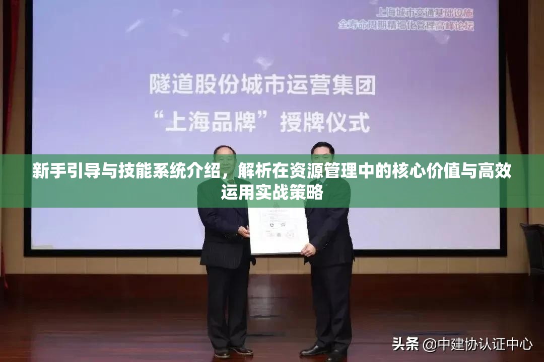 新手引导与技能系统介绍，解析在资源管理中的核心价值与高效运用实战策略