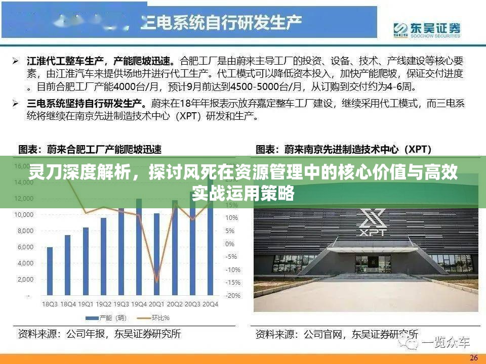 灵刀深度解析，探讨风死在资源管理中的核心价值与高效实战运用策略
