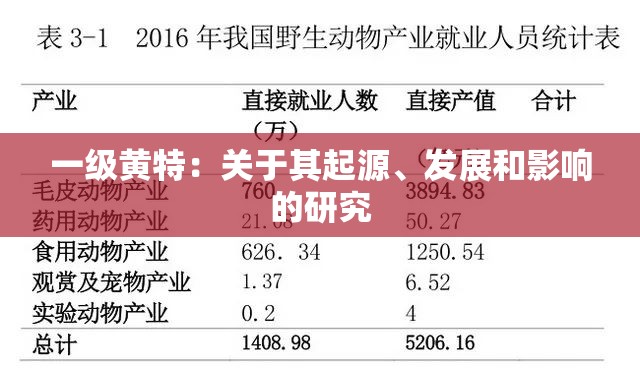 一级黄特：关于其起源、发展和影响的研究