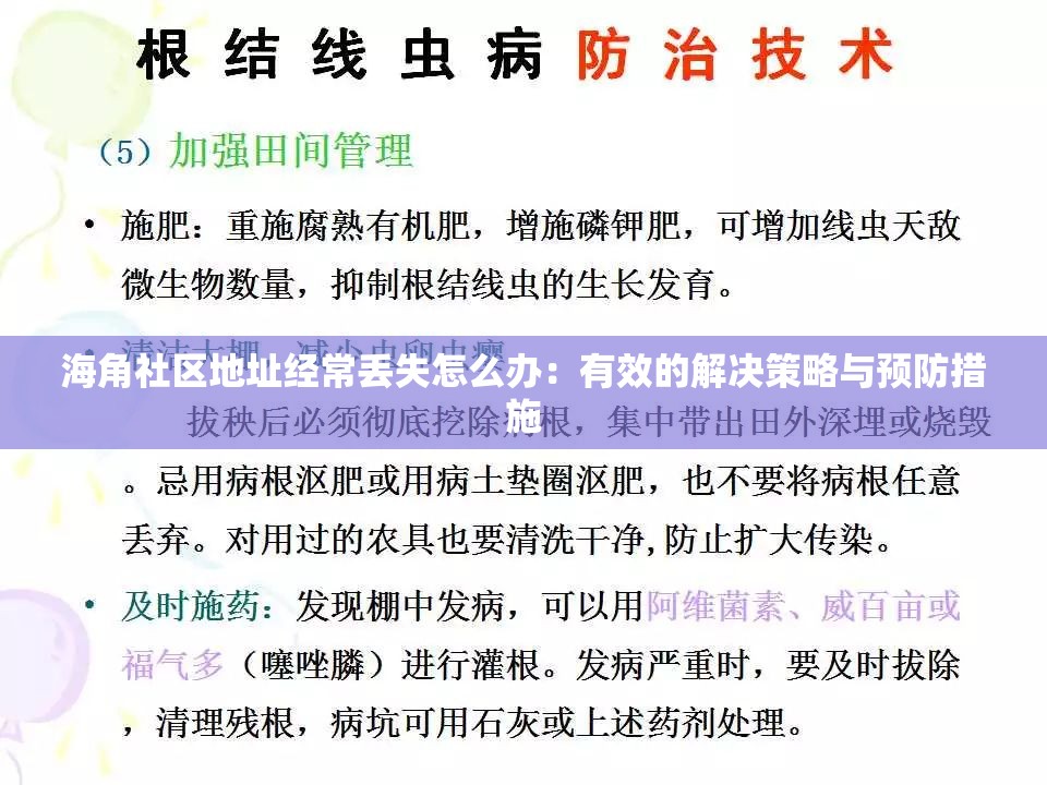 海角社区地址经常丢失怎么办：有效的解决策略与预防措施