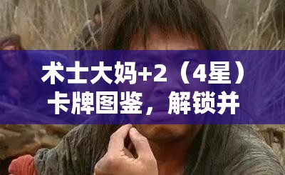 术士大妈+2（4星）卡牌图鉴，解锁并探索奇幻世界中深邃而神秘的术士力量