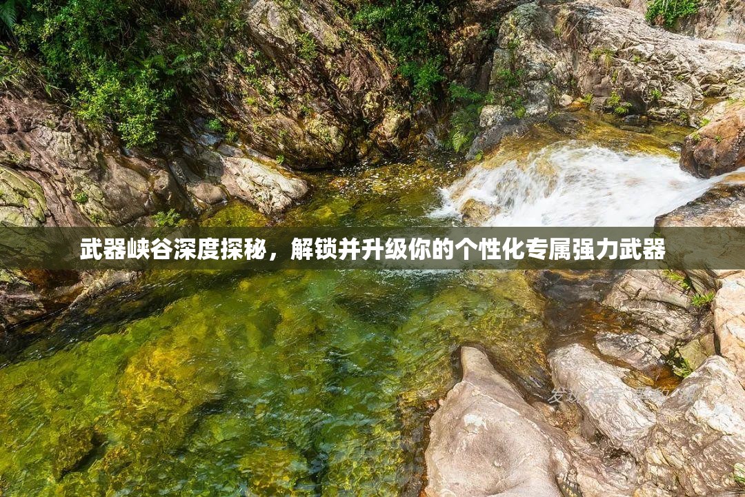 武器峡谷深度探秘，解锁并升级你的个性化专属强力武器
