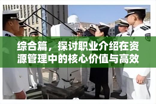 综合篇，探讨职业介绍在资源管理中的核心价值与高效应用策略