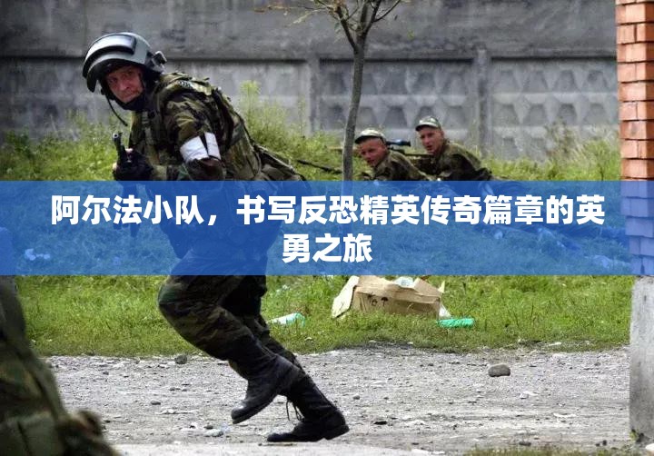 阿尔法小队，书写反恐精英传奇篇章的英勇之旅