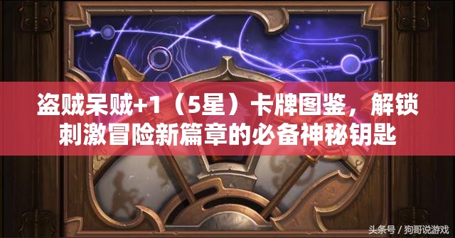 盗贼呆贼+1（5星）卡牌图鉴，解锁刺激冒险新篇章的必备神秘钥匙