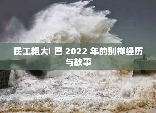 民工粗大鳮巴 2022 年的别样经历与故事