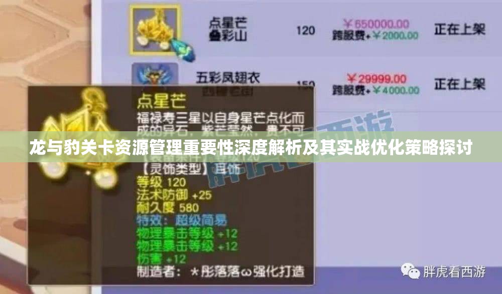 龙与豹关卡资源管理重要性深度解析及其实战优化策略探讨